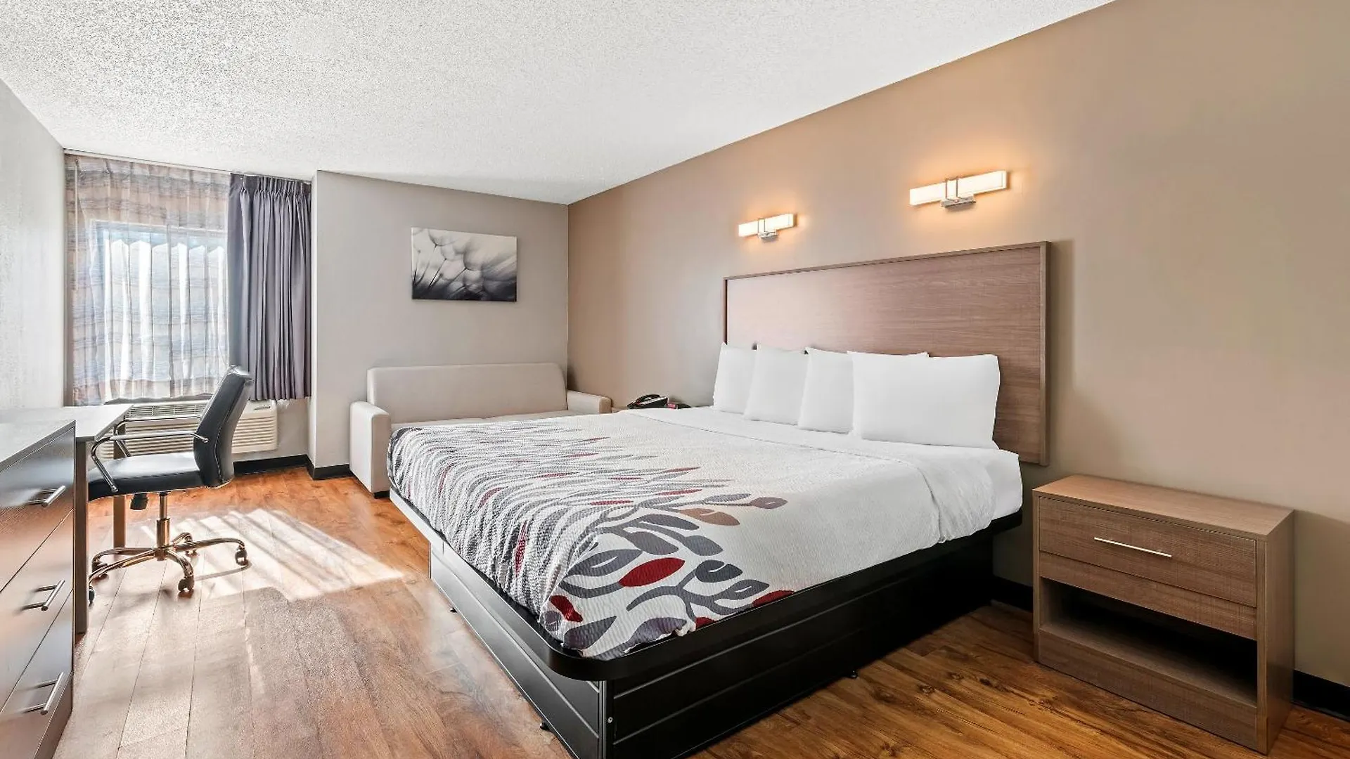 Motel Red Roof Inn Charlotte - University