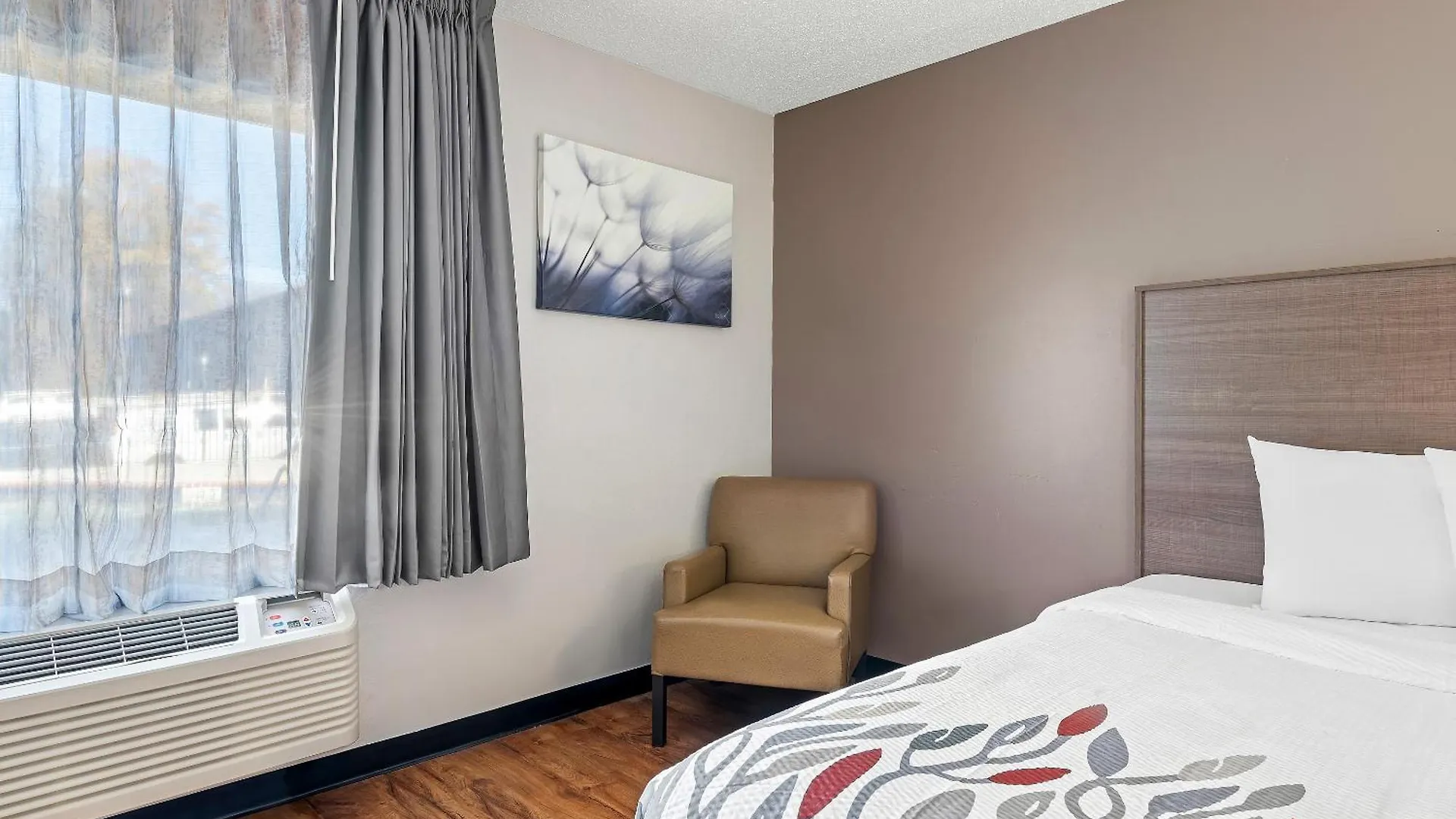 Motel Red Roof Inn Charlotte - University